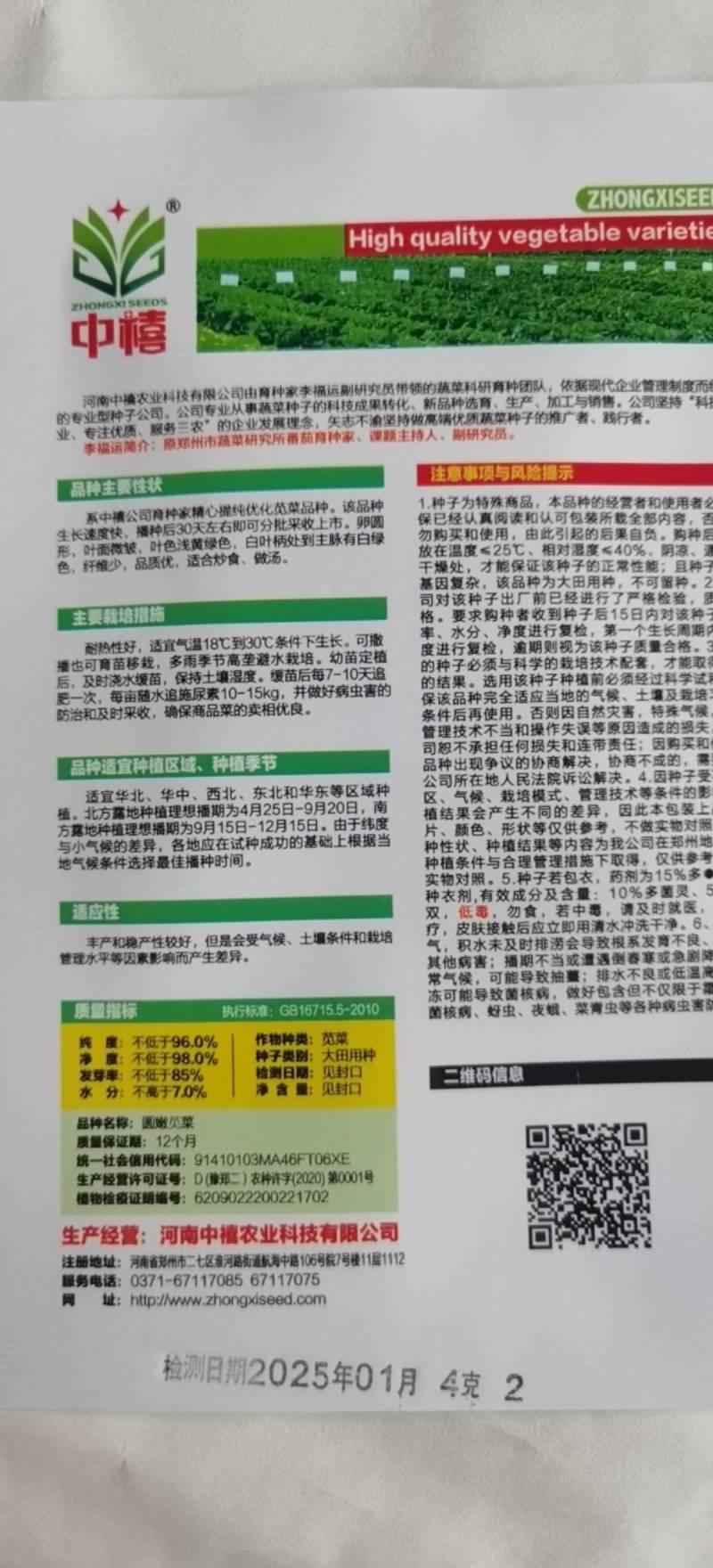 花红苋菜种子花仙子商品性好叶片卵圆形耐热耐湿