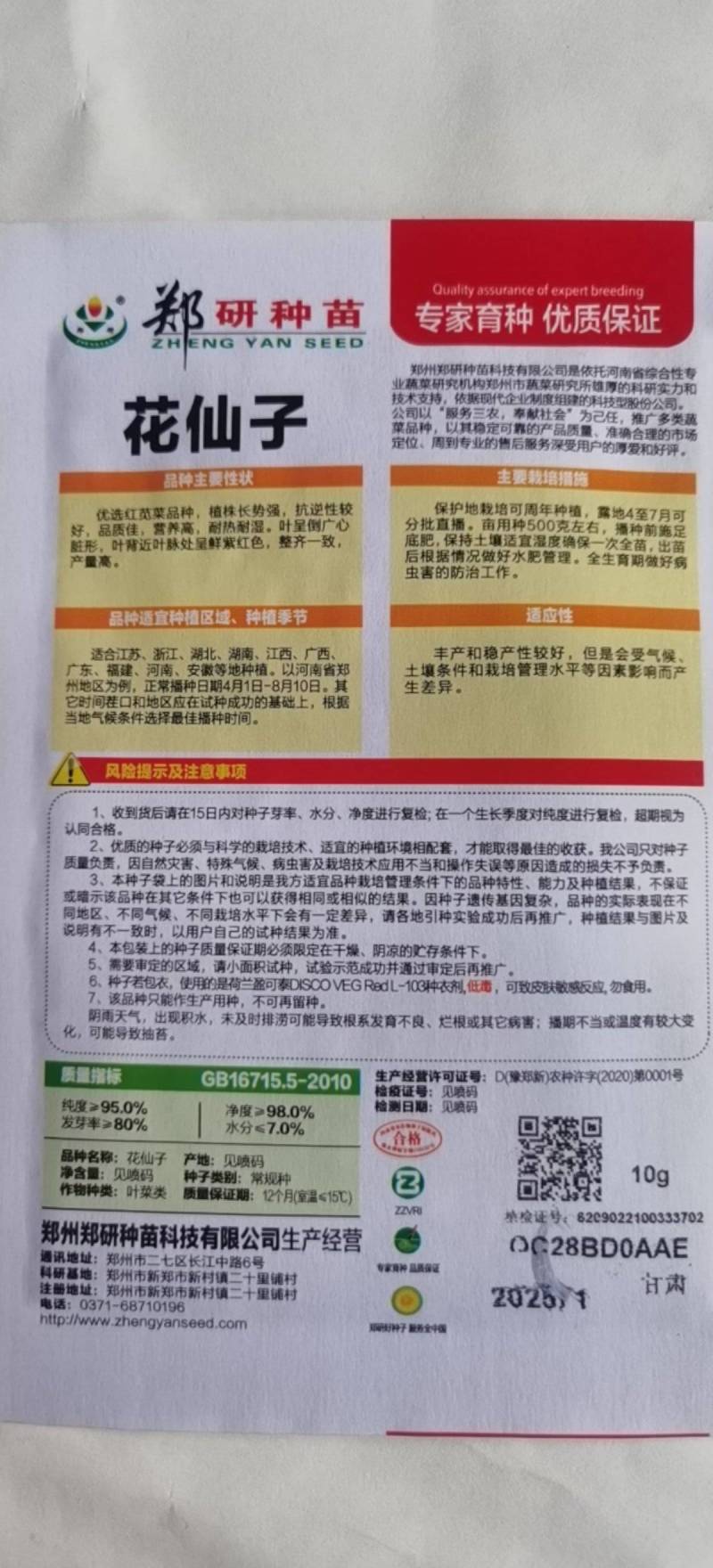 花红苋菜种子花仙子商品性好叶片卵圆形耐热耐湿