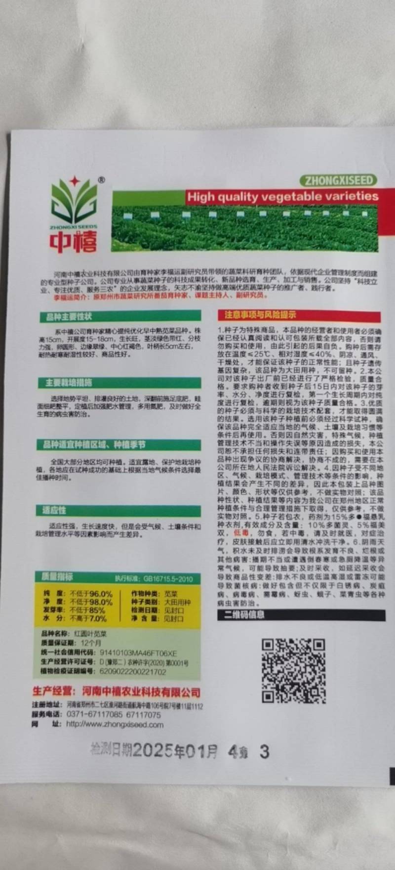 花红苋菜种子花仙子商品性好叶片卵圆形耐热耐湿