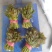 香椿芽，产地直发，大量有货，欢迎各位老板咨询采购