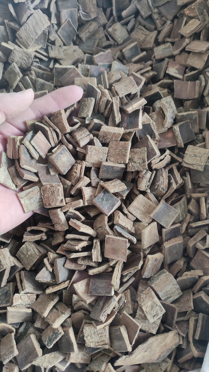 杜仲块，天然无硫，磨皮杜仲四川老树皮切块，规格齐全