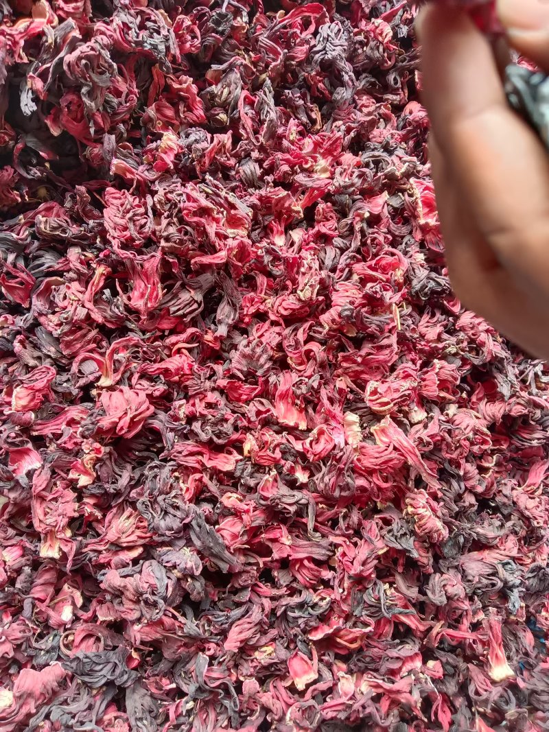 洛神花，玫瑰茄，一手货源，量大优惠，欢迎新老客户前来合作