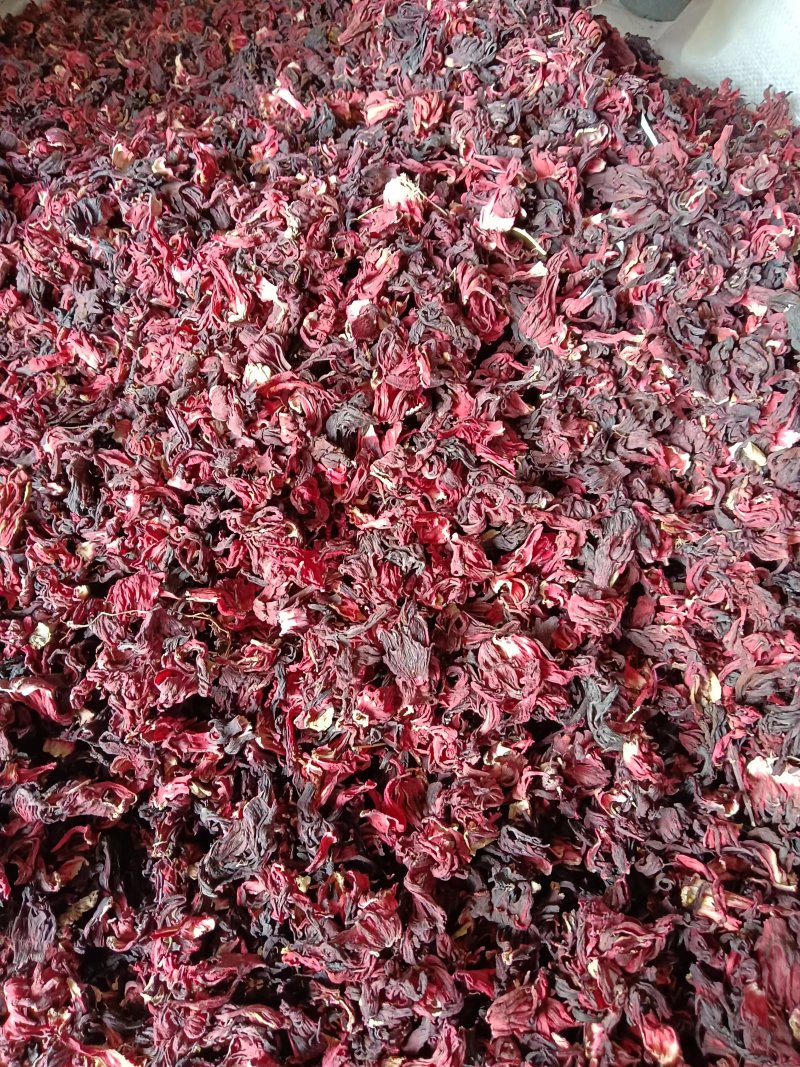 洛神花，玫瑰茄，一手货源，量大优惠，欢迎新老客户前来合作