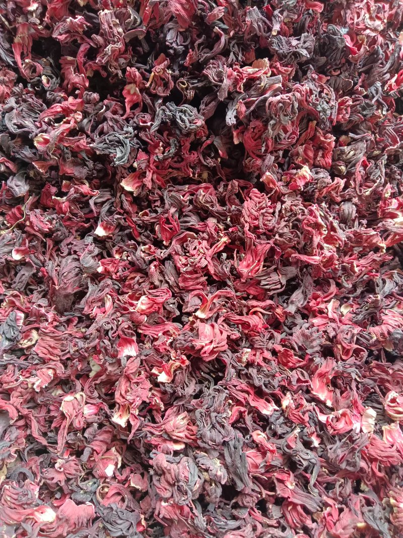 洛神花，玫瑰茄，一手货源，量大优惠，欢迎新老客户前来合作