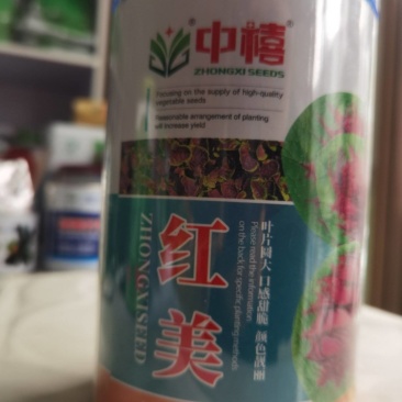 中禧大圆叶苋菜种子青苋菜种子口感甜脆中心红褐色颜色亮