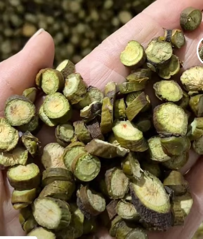 槲寄生嫩枝切片，颜色自然，东北寄生质量保证。规格齐全