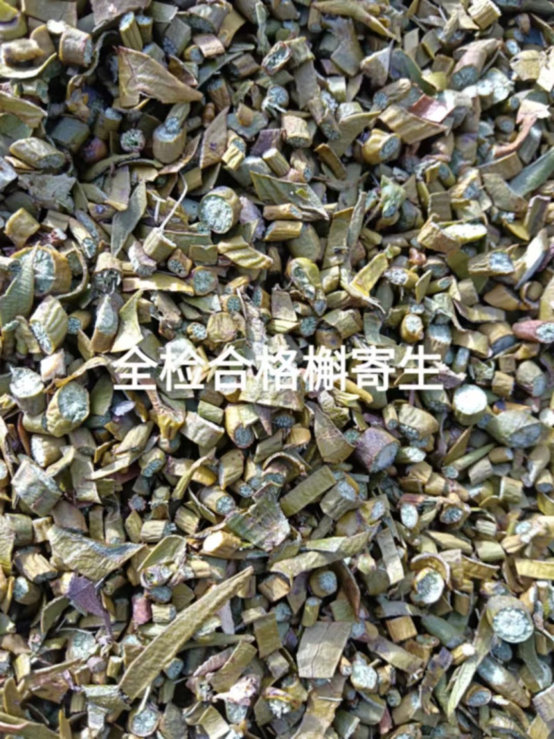 槲寄生嫩枝切片，颜色自然，东北寄生质量保证。规格齐全
