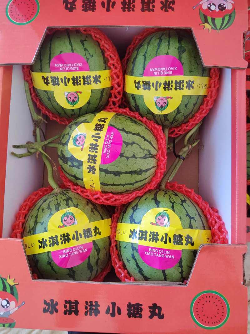 早春红玉西瓜安徽手撕西瓜小糖丸承接商超电商代收代发