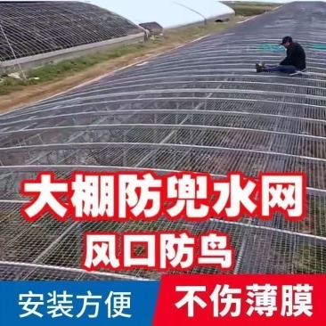 围墙网围网塑料网厂家直销量大质优价格优惠一手货源