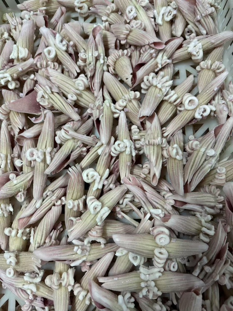 阿鱿牛角花，品质佳，货量充足，欢迎咨询