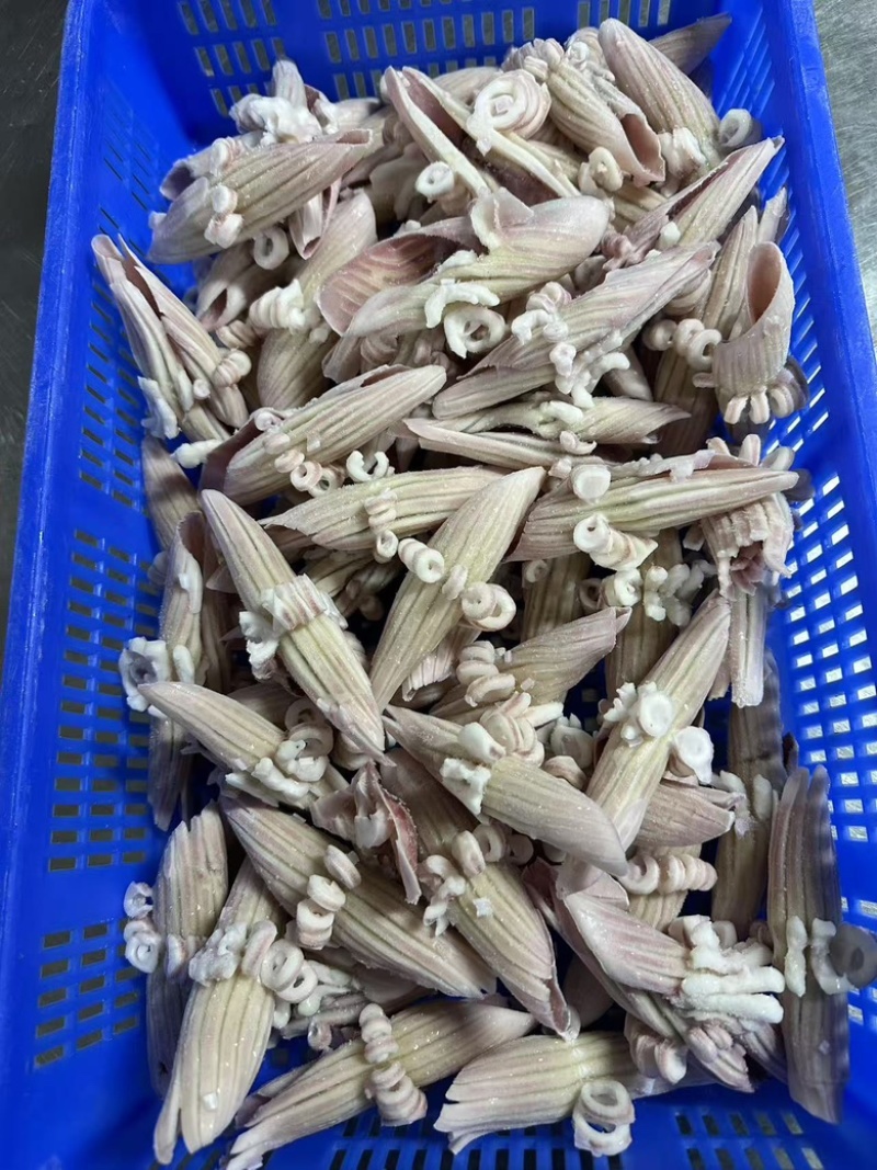 阿鱿牛角花，品质佳，货量充足，欢迎咨询