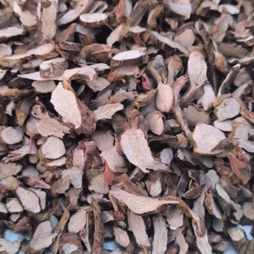 石菖蒲水菖蒲正品石菖蒲中药材批发石菖蒲质量保证