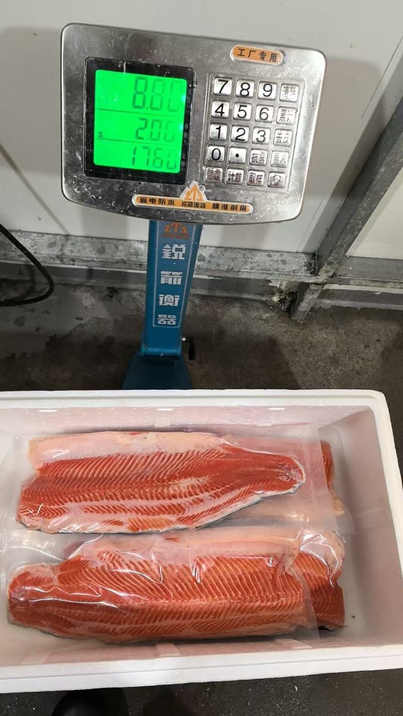 去骨拔刺自助专用鱼柳大量供应，货源充足。新鲜发货