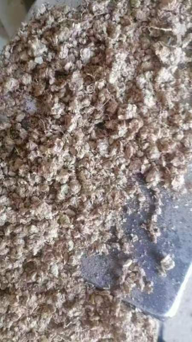 成都玉米芯原材料直供整车发货来电详谈