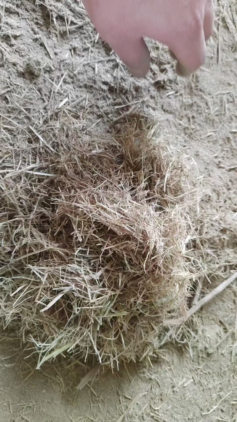 稻草草节草粉厂家直销整车发货详谈电聊