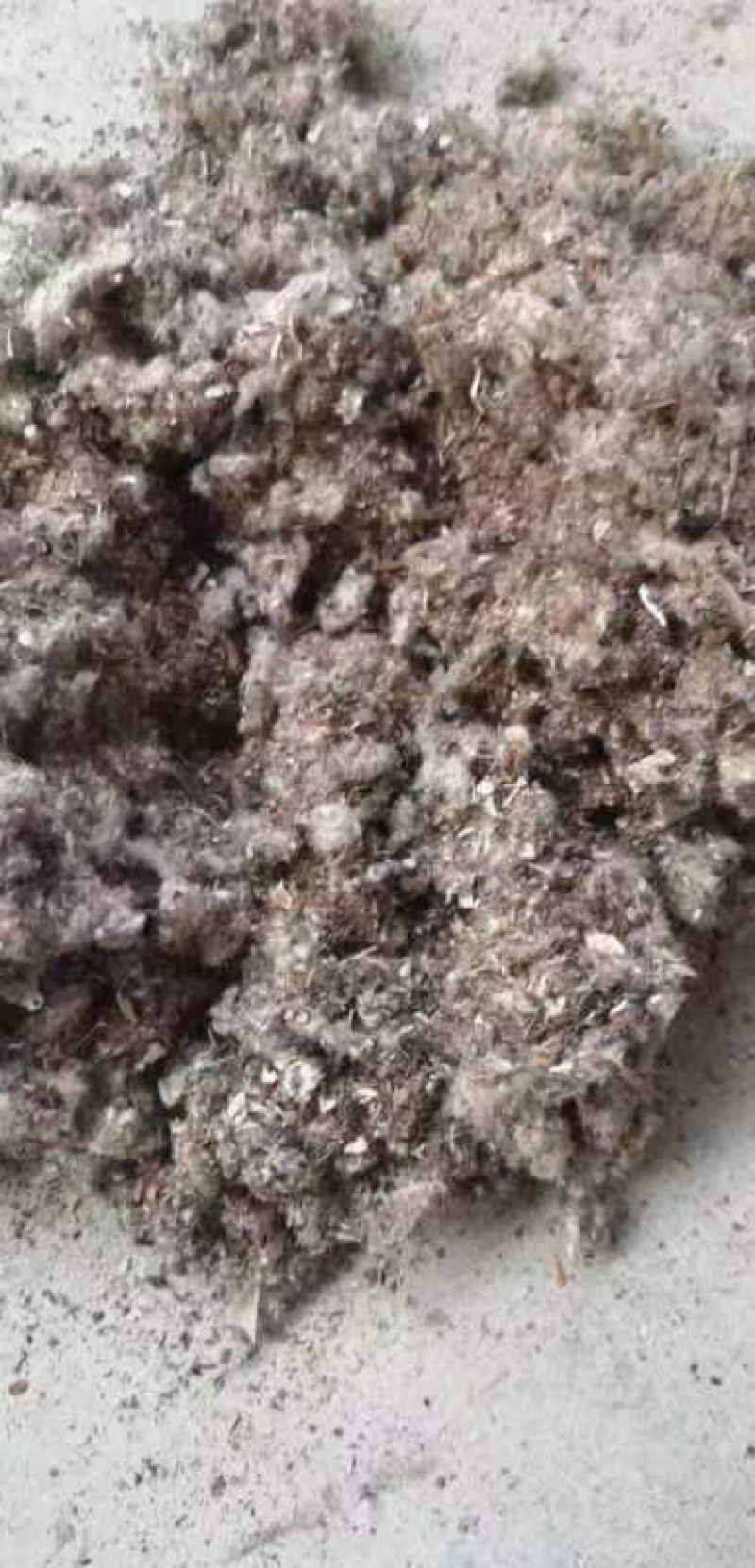 棉渣原材料饲料大量有货厂家直销电联详谈