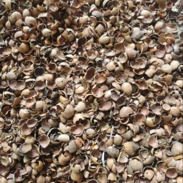 青钢壳玉米芯，棉籽壳蚕豆粉大量批发来电详谈