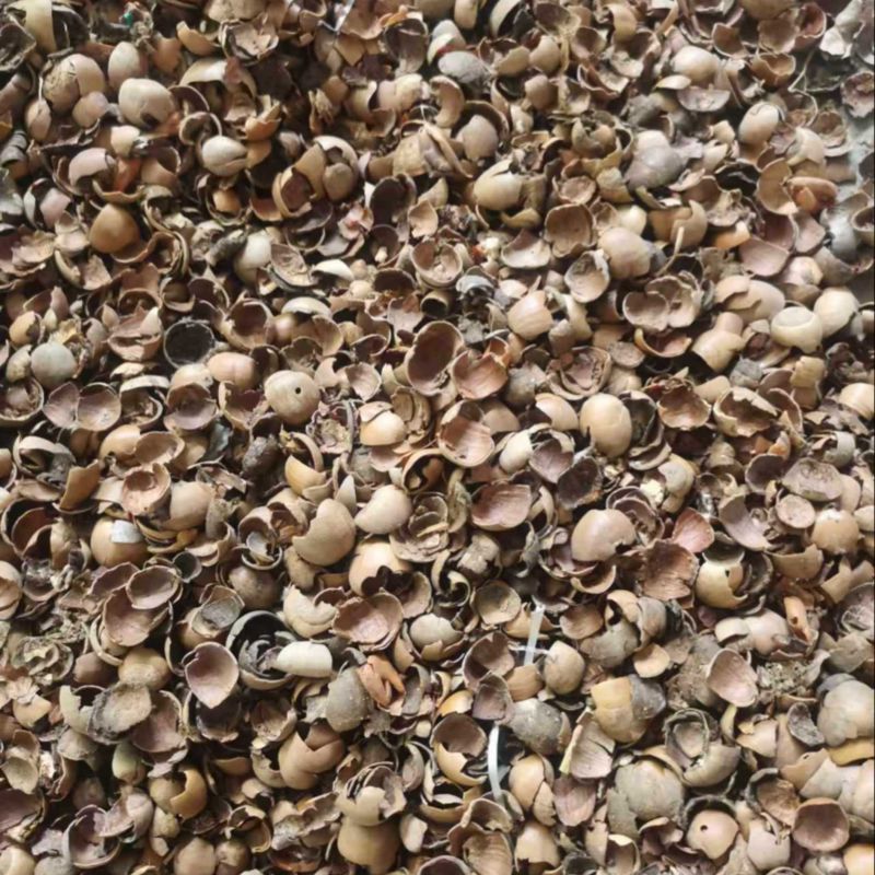 青钢壳玉米芯，棉籽壳蚕豆粉大量批发来电详谈