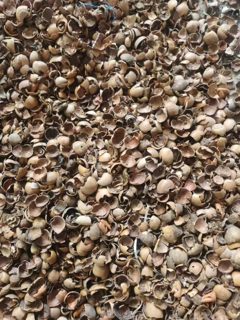 青钢壳玉米芯，棉籽壳蚕豆粉大量批发来电详谈