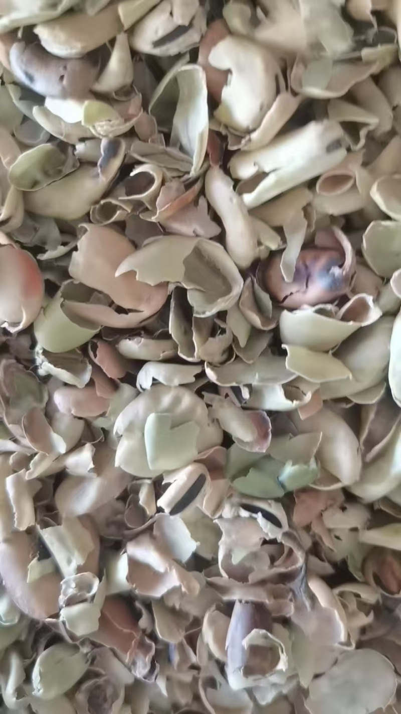 青钢壳玉米芯，棉籽壳蚕豆粉大量批发来电详谈