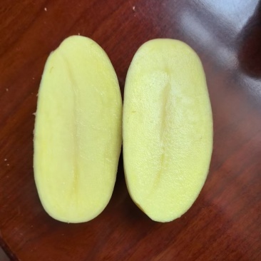 土豆黄心土豆V7荷兰实验个品种土豆大量产地一手货源批发