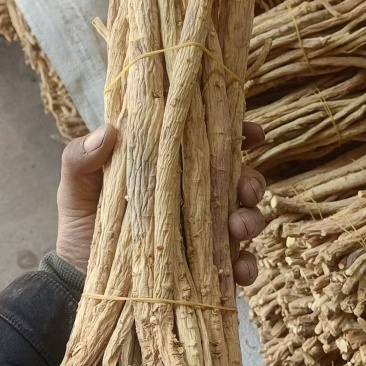 精品防风节子，货源保证，产地直发，量大从优，欢迎咨询
