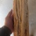 精品防风节子，货源保证，产地直发，量大从优，欢迎咨询