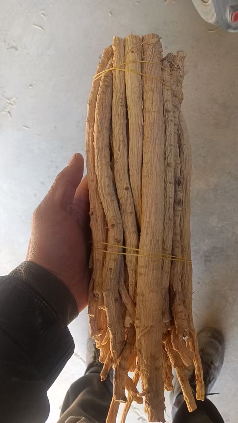 精品防风节子，货源保证，产地直发，量大从优，欢迎咨询