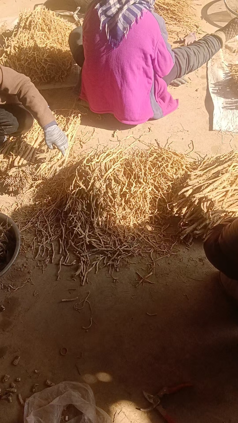 精品防风节子，货源保证，产地直发，量大从优，欢迎咨询
