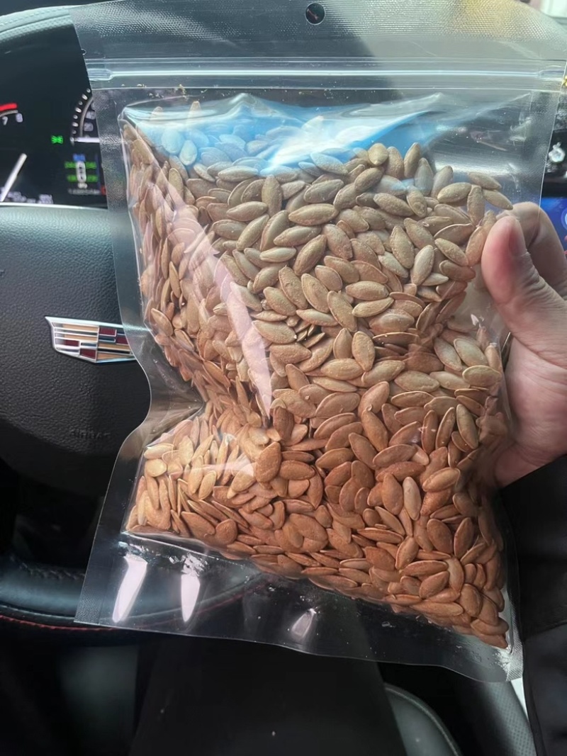 新疆美人甲南瓜子椒盐南瓜子零售批发坚果炒货