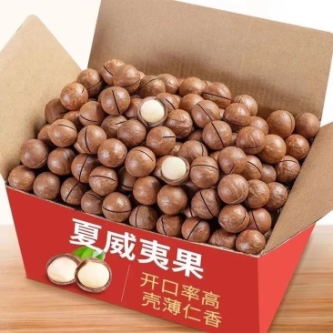 (全国可发）夏威夷果坚果炒货批发大中小果奶香味道