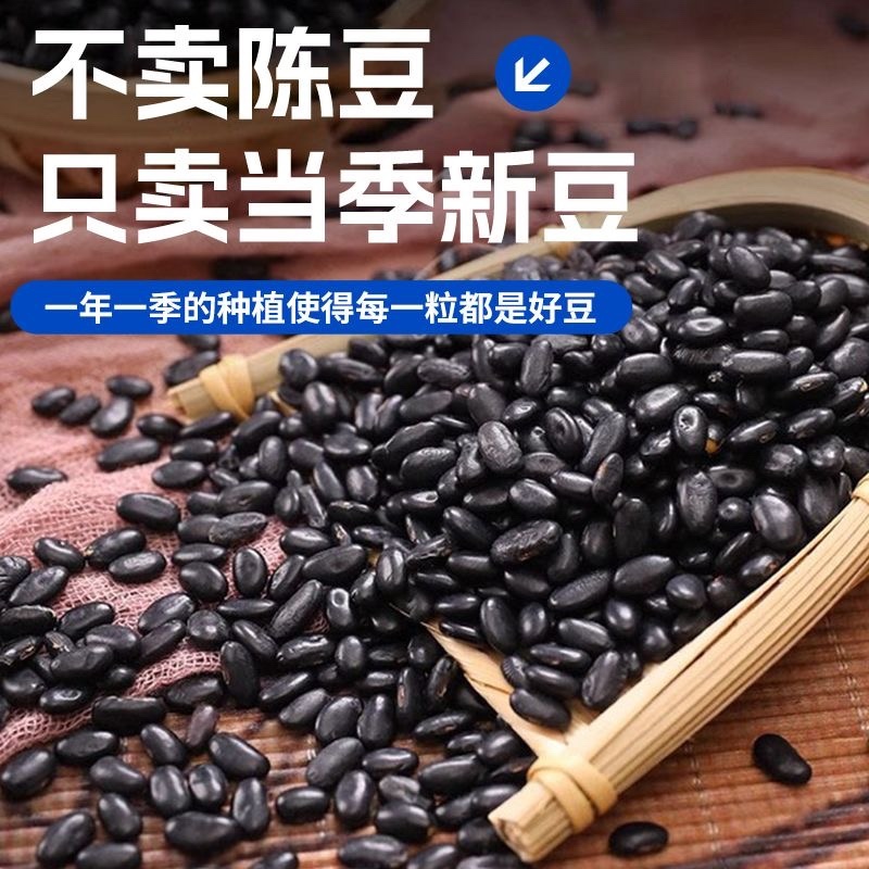 炒黑豆香酥豆子东北黑豆坚果炒货全国批发