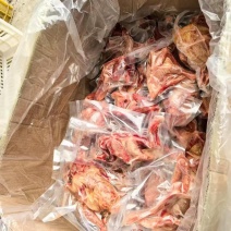 二级鸽子肉