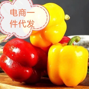 【推荐】产地直发优质太空椒绿椒，一手货源欢迎订购