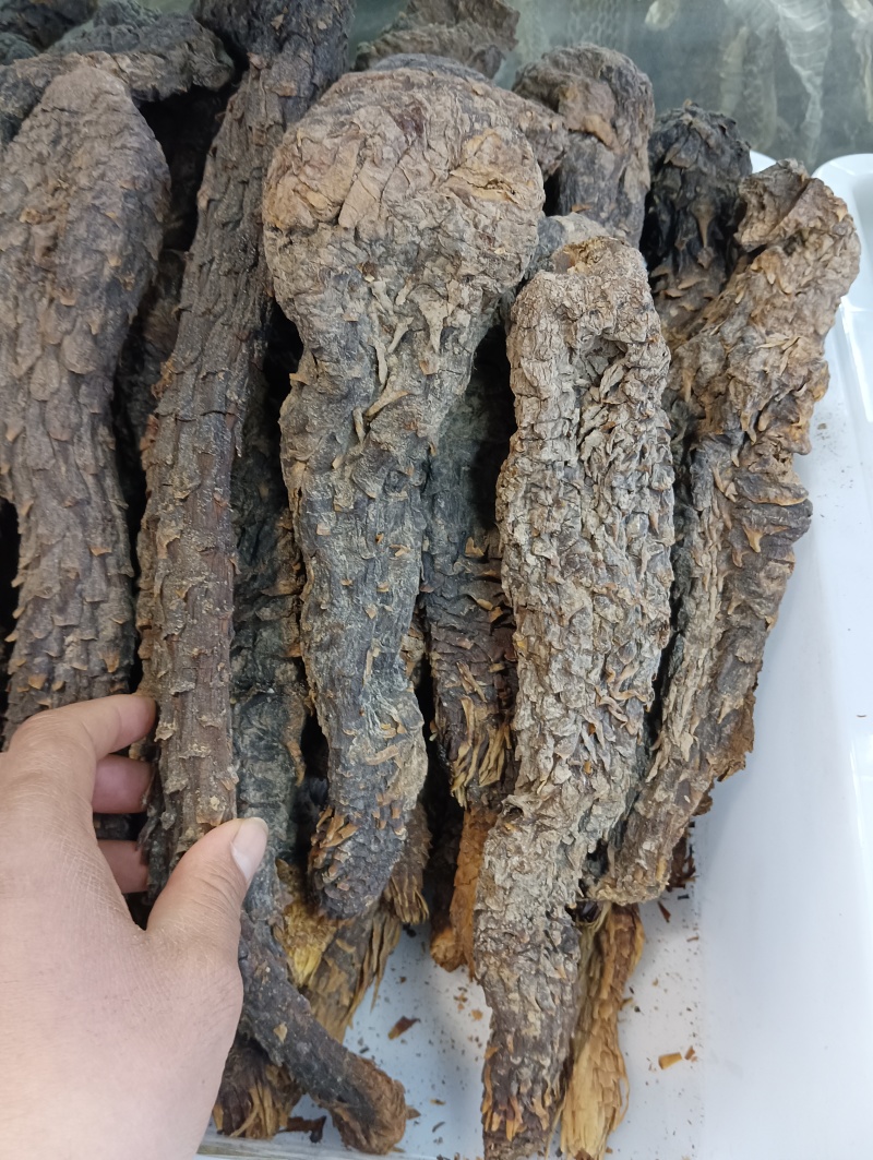 肉苁蓉中药材阿拉善官方旗舰店正品野生内蒙古特级整根泡酒配