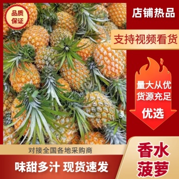 菠萝香水菠萝产地直发全国发货可视频看货