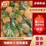 菠萝香水菠萝产地直发全国发货可视频看货