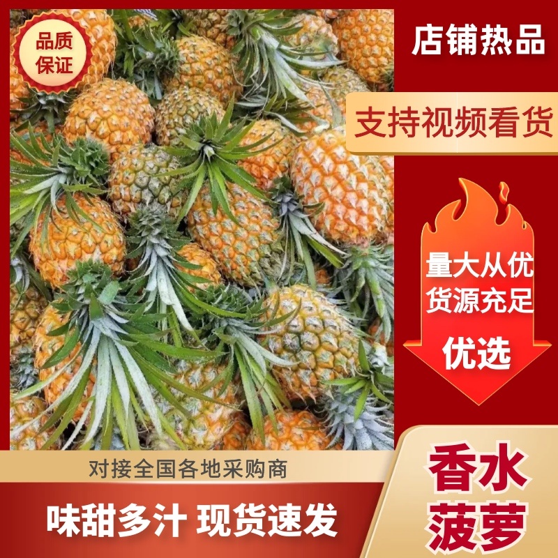 菠萝香水菠萝产地直发全国发货可视频看货