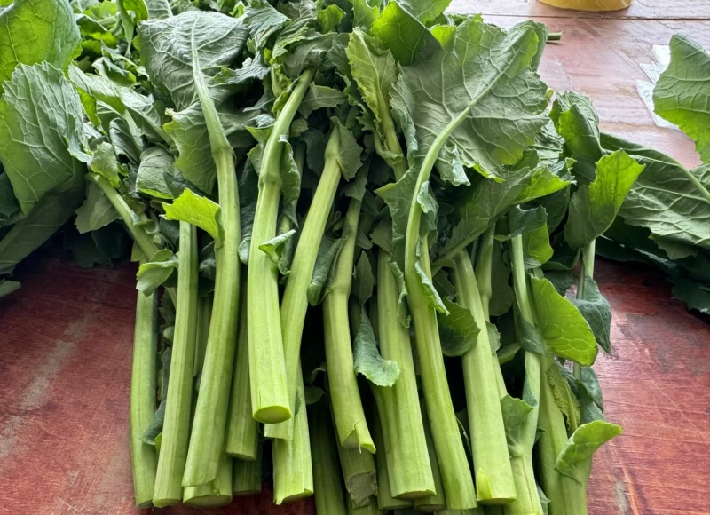 硒菜苔油菜苔支持一件代发