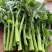 硒菜苔油菜苔支持一件代发