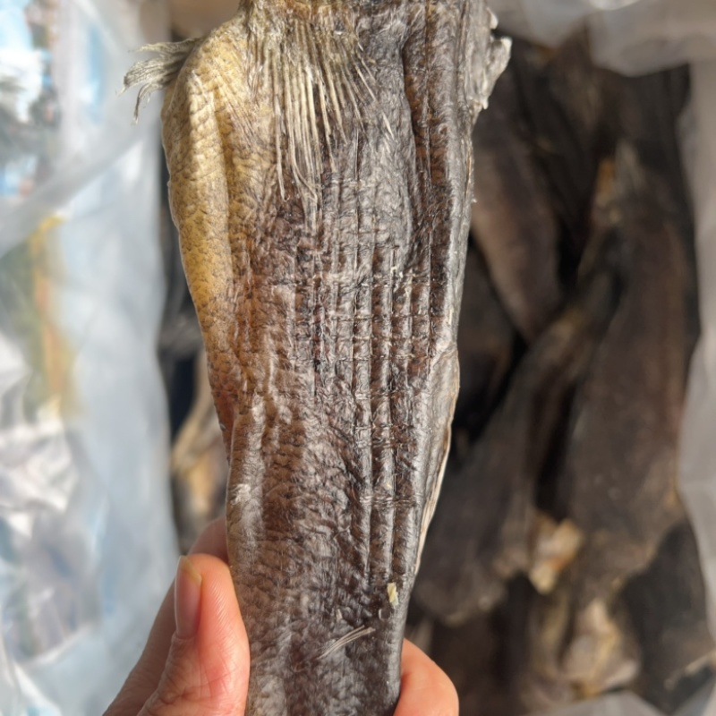 笋壳鱼干地摊批发电商笋壳鱼干干鱼