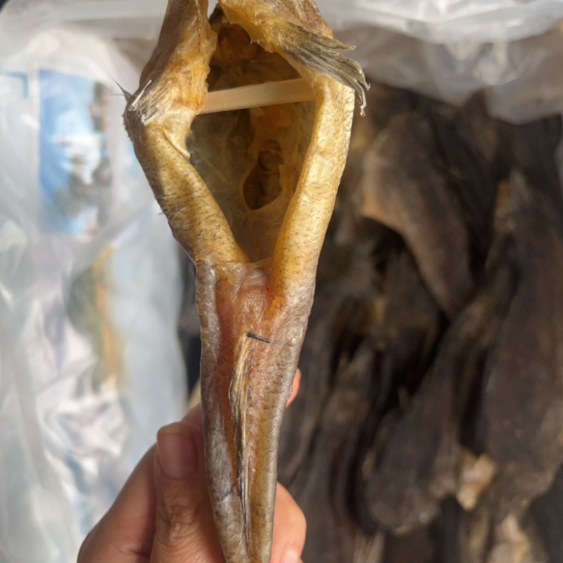 笋壳鱼干地摊批发电商笋壳鱼干干鱼
