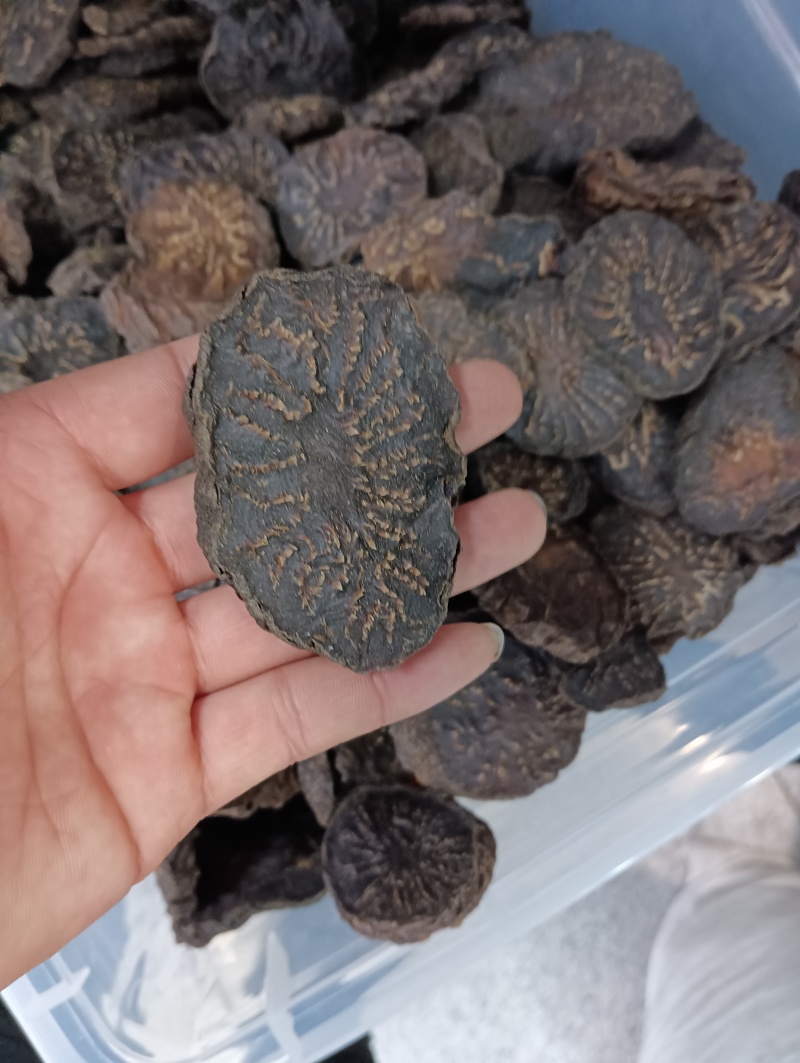 新疆肉苁蓉500g沙漠人参无硫大芸片泡水泡酒料中药材