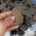 新疆肉苁蓉500g沙漠人参无硫大芸片泡水泡酒料中药材