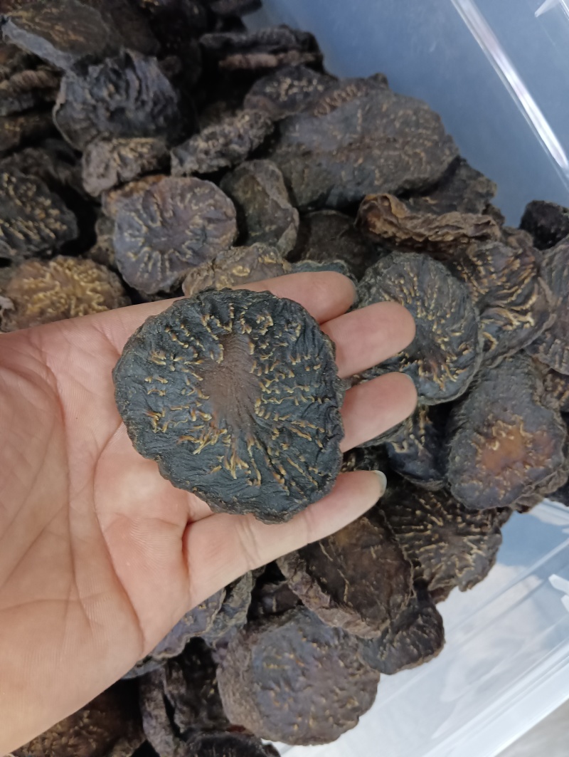 新疆肉苁蓉500g沙漠人参无硫大芸片泡水泡酒料中药材