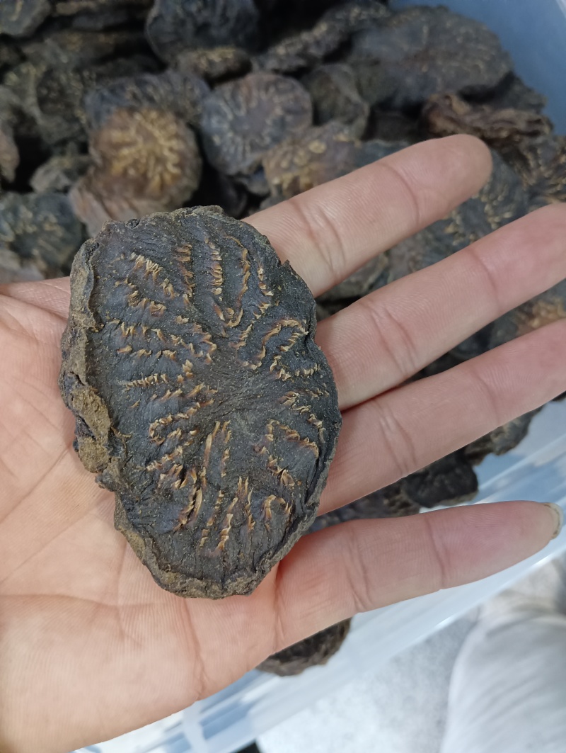 新疆肉苁蓉500g沙漠人参无硫大芸片泡水泡酒料中药材
