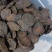 新疆肉苁蓉500g沙漠人参无硫大芸片泡水泡酒料中药材