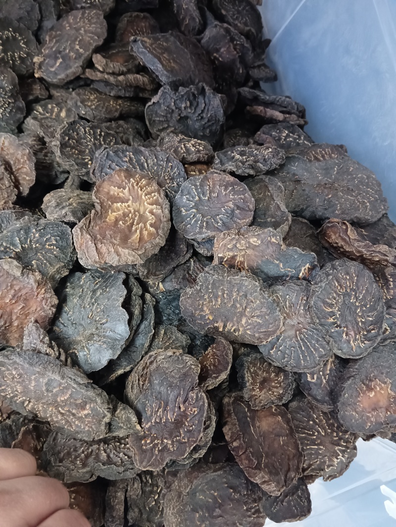 新疆肉苁蓉500g沙漠人参无硫大芸片泡水泡酒料中药材