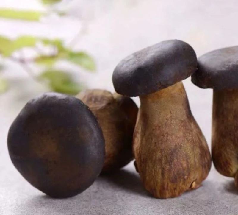 黑牛肝菌（承接电商发货）
