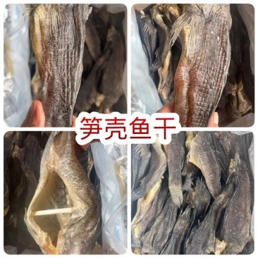 笋壳鱼干地摊批发电商笋壳鱼干干鱼淡水鱼干